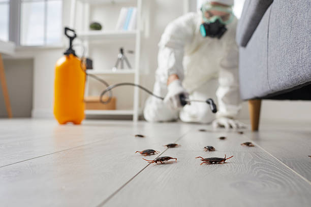 Commercial Kitchen Cockroach Control in Tenafly